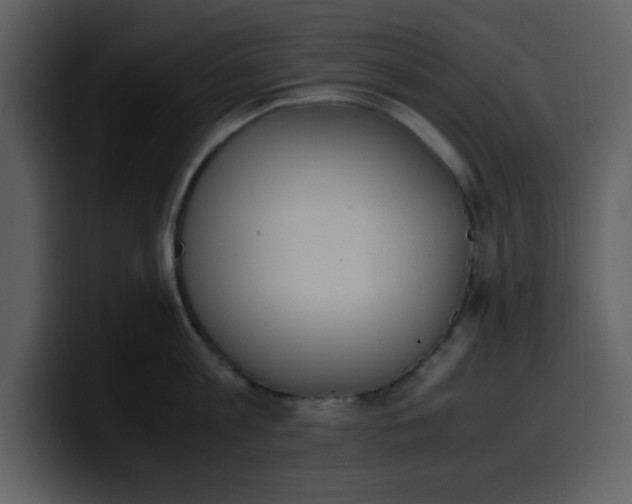 X0000100340813200806191023