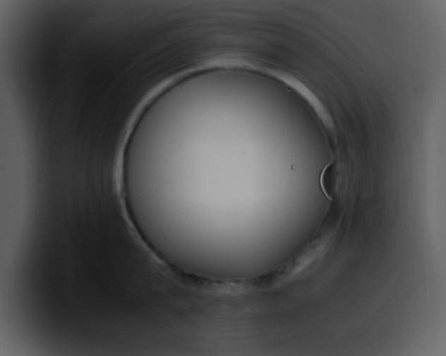 X0000100340815200806191023