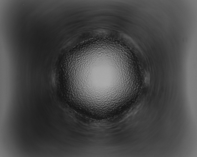 X0000100340819200806191022