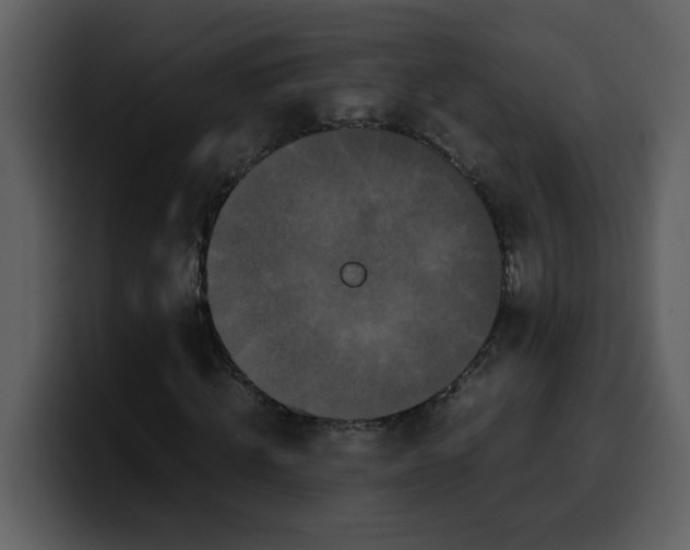 X0000100340820200806191022