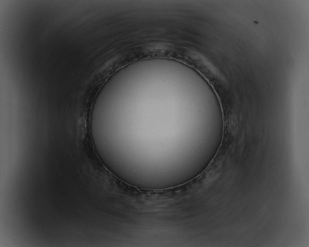 X0000100340821200806191022