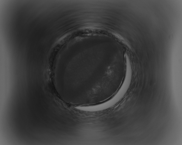 X0000100340822200806191022