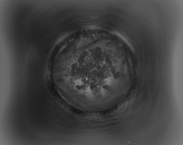 X0000100340823200806191022