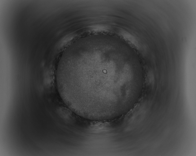 X0000100340824200806191022