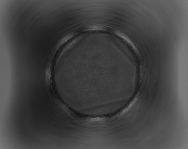 X0000100340826200806191022