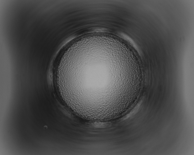 X0000100340827200806191022