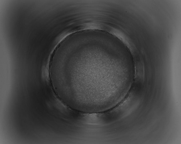 X0000100340828200806191022