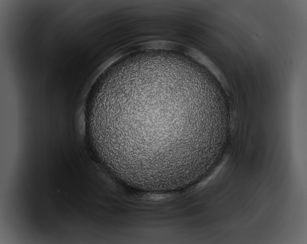 X0000100340829200806191022