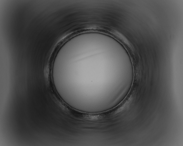 X0000100340831200806191022