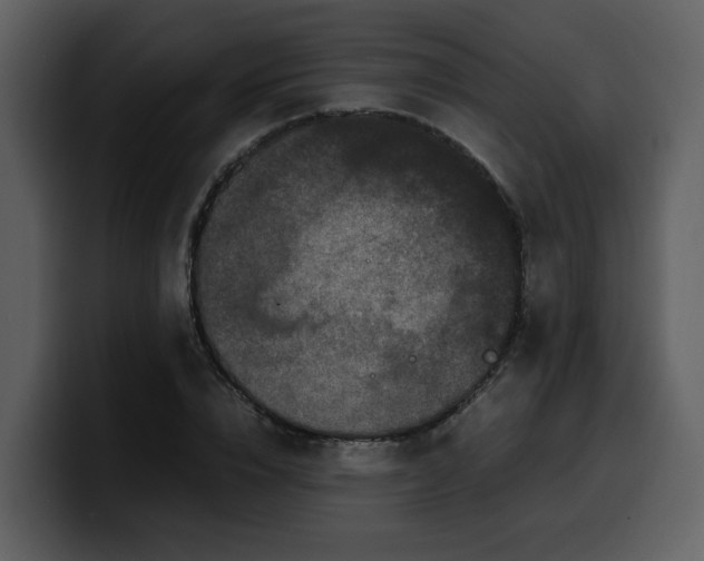 X0000100340832200806191022