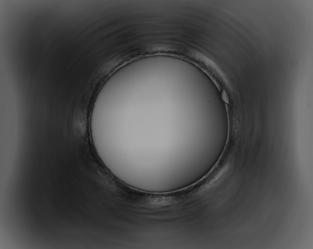 X0000100340833200806191022