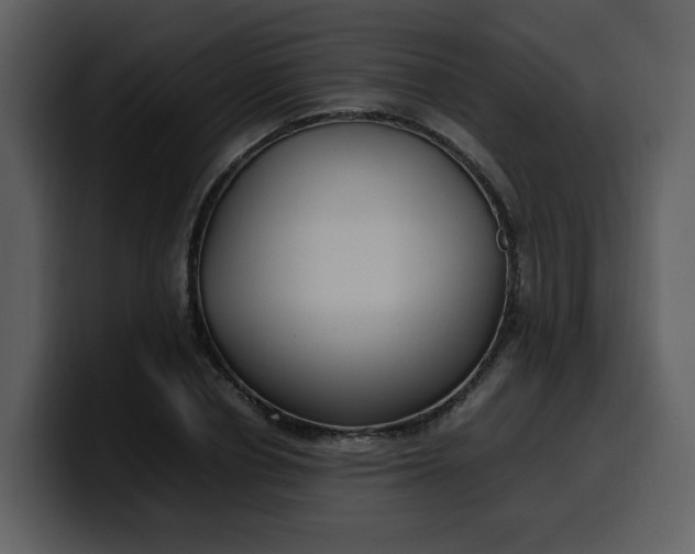 X0000100340834200806191022