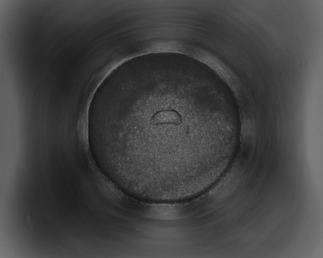 X0000100340836200806191022