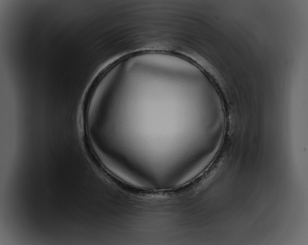 X0000100340838200806191023