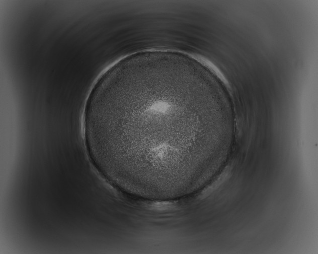 X0000100340839200806191023