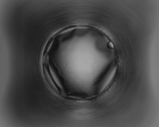 X0000100340840200806191023