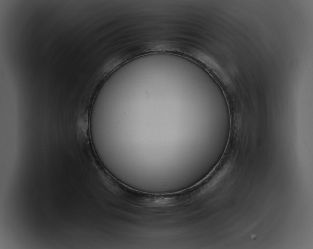 X0000100340841200806191023