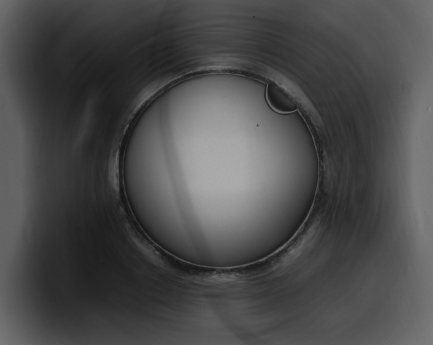 X0000100340842200806191023