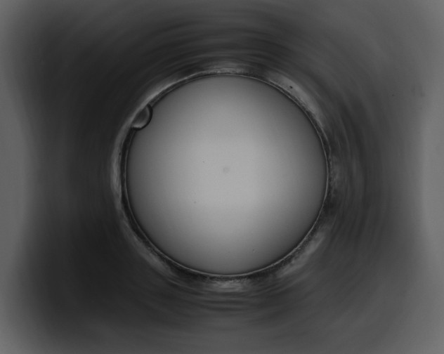 X0000100340843200806191023