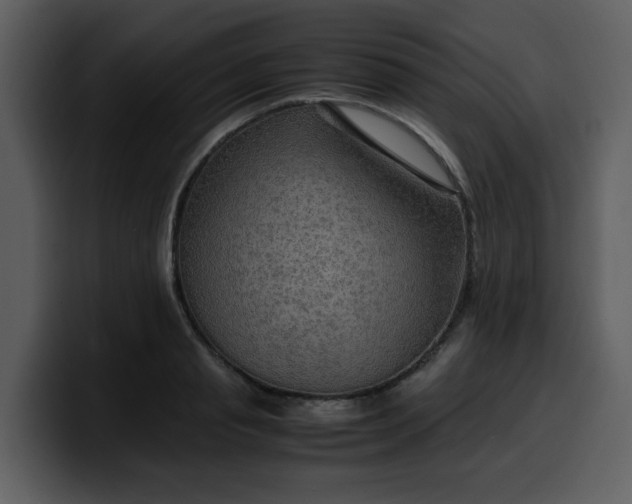 X0000100340845200806191023