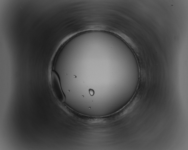 X0000100340846200806191023