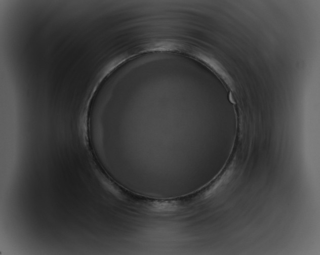 X0000100340850200806191023