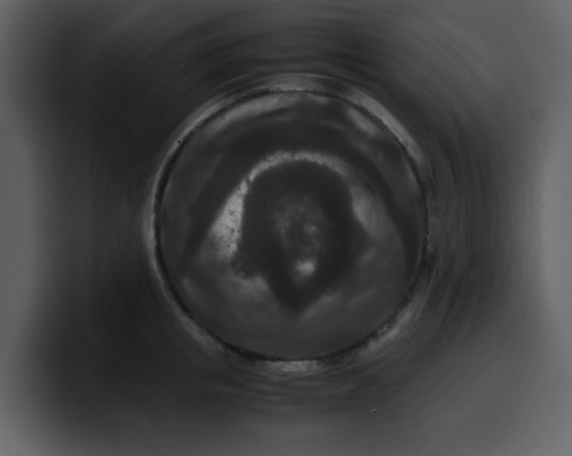 X0000100340853200806191023