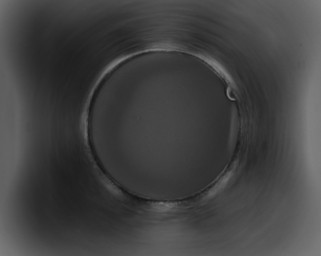 X0000100340854200806191023