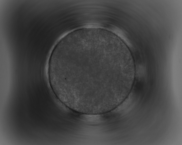 X0000100340856200806191023