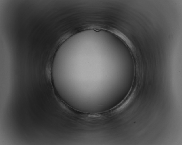 X0000100340857200806191023