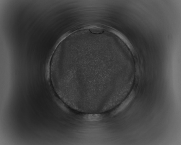 X0000100340858200806191023