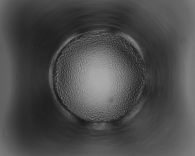 X0000100340859200806191023