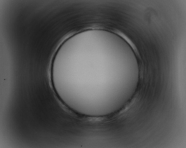 X0000100340861200806191023