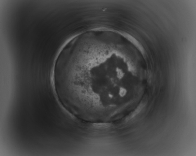 X0000100340863200806191023