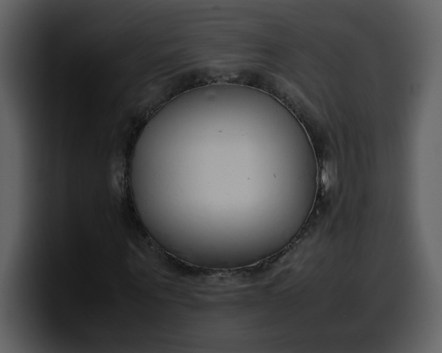 X0000100340867200806191022