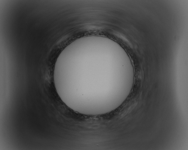 X0000100340869200806191022