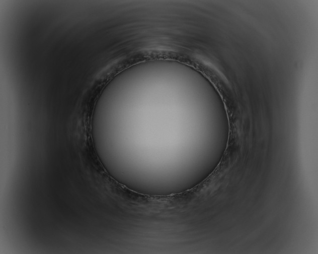 X0000100340870200806191022