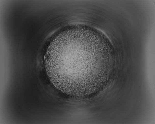 X0000100340871200806191022