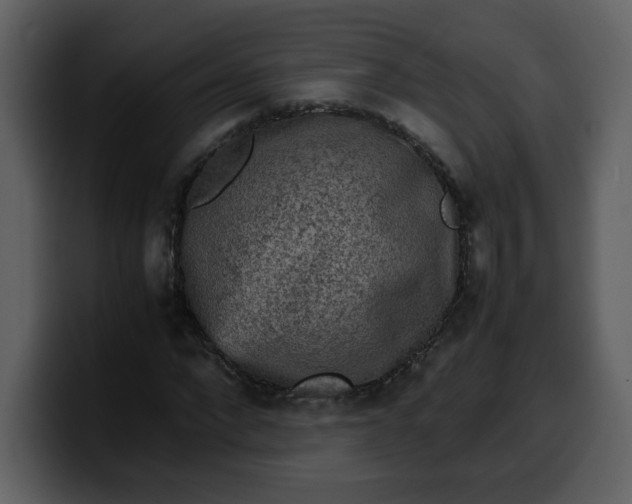 X0000100340872200806191022