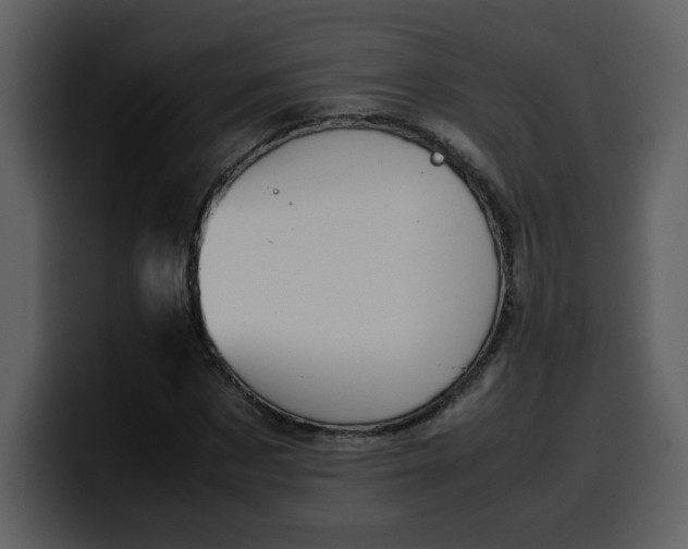 X0000100340873200806191022