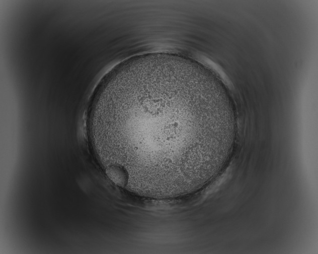 X0000100340875200806191022