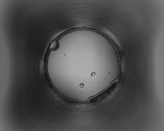 X0000100340876200806191022