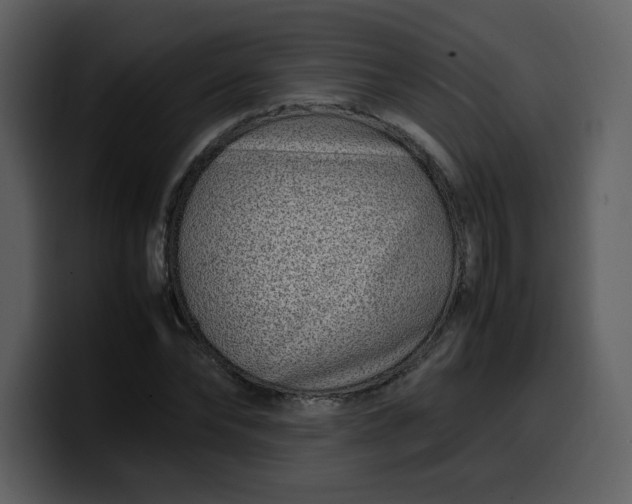 X0000100340878200806191022