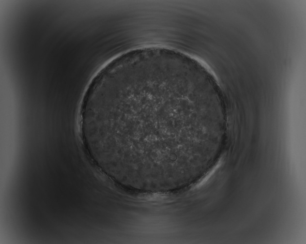 X0000100340879200806191022