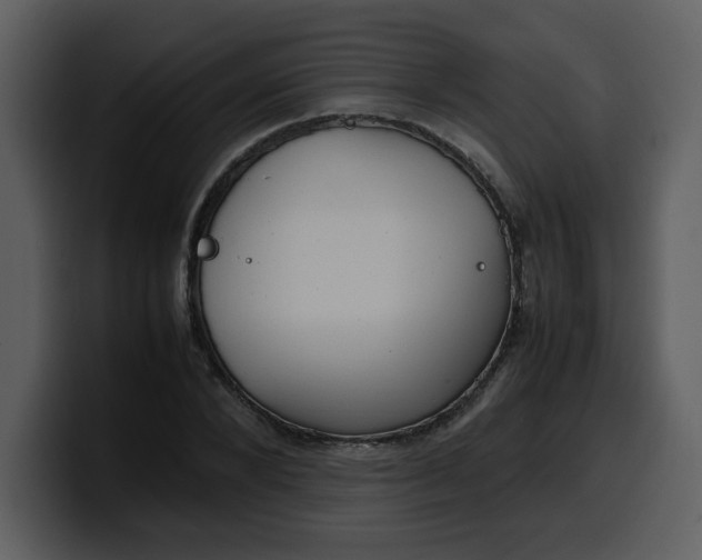 X0000100340880200806191022