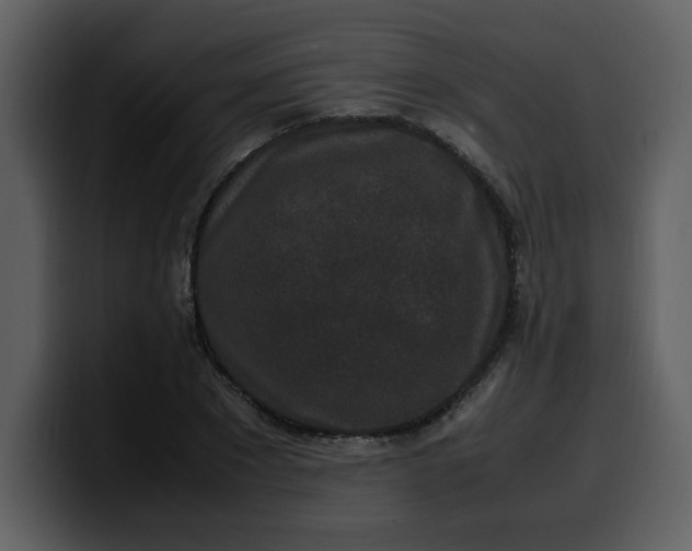 X0000100340881200806191022