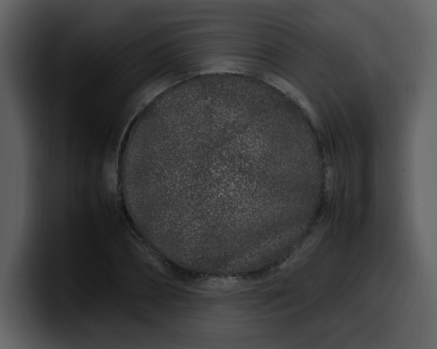 X0000100340882200806191022