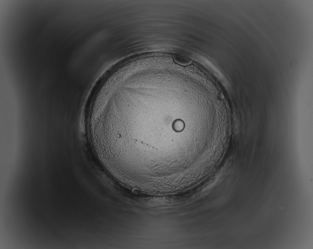 X0000100340883200806191022