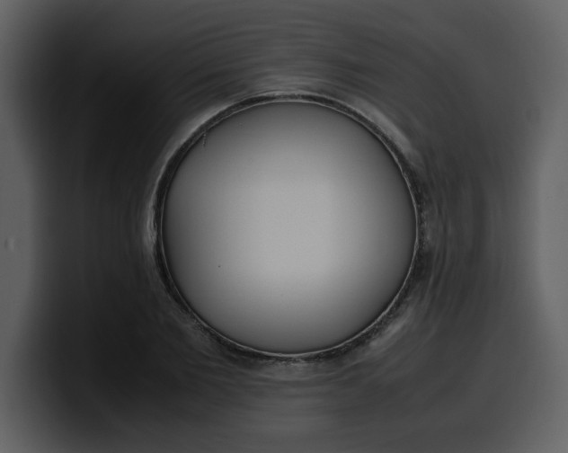 X0000100340885200806191022