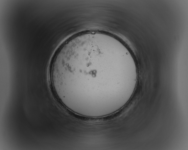 X0000100340887200806191022